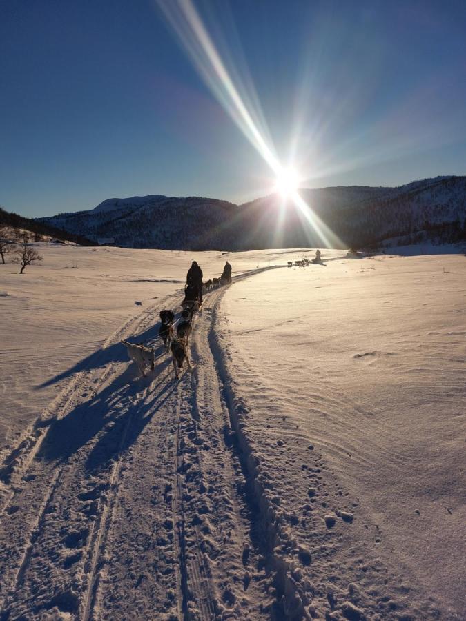 In With Norway